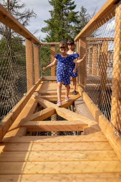 Baumwipfelpfad Laurentides - Kanada