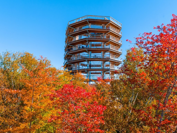 Baumwipfelpfad Laurentides - Kanada