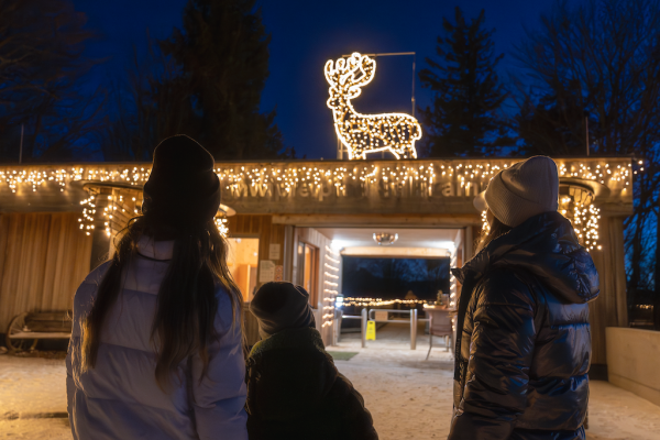 Lichterzauber am Baumwipfelpfad Salzkammergut – Wintermagie auf dem Grünberg