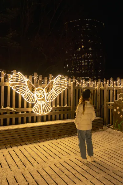 Lichterzauber am Baumwipfelpfad Salzkammergut – Wintermagie auf dem Grünberg