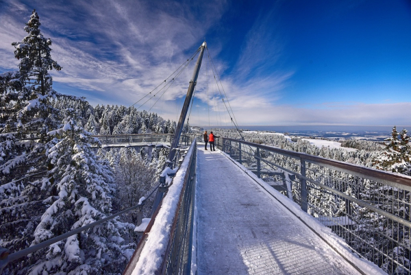 Waldwelt Skywalk Allgäu