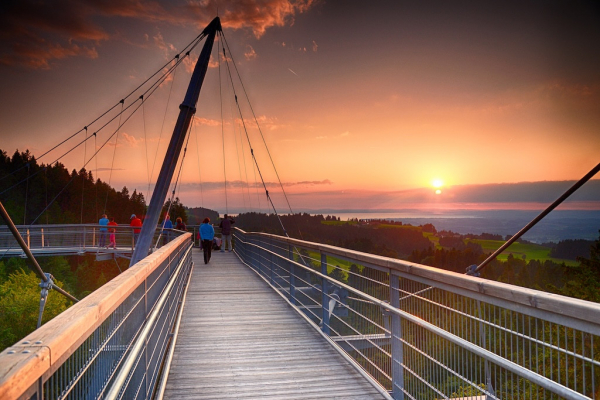 Waldwelt Skywalk Allgäu