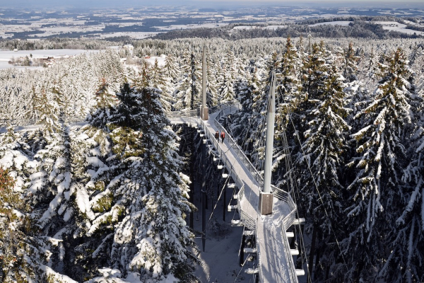 Waldwelt Skywalk Allgäu